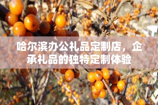 哈尔滨办公礼品定制店，企承礼品的独特定制体验