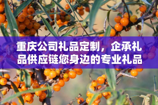重庆公司礼品定制，企承礼品供应链您身边的专业礼品定制公司