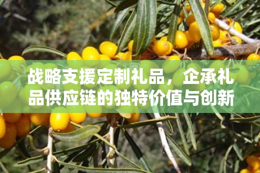 战略支援定制礼品，企承礼品供应链的独特价值与创新服务