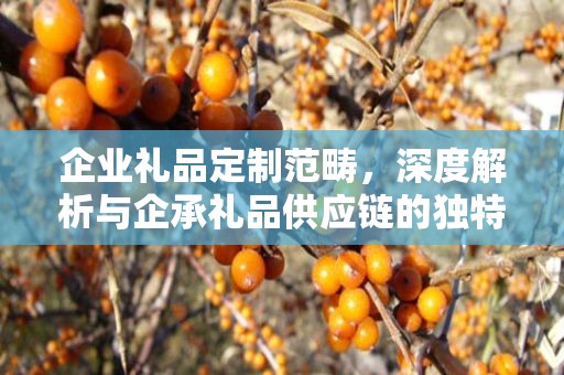企业礼品定制范畴，深度解析与企承礼品供应链的独特视角