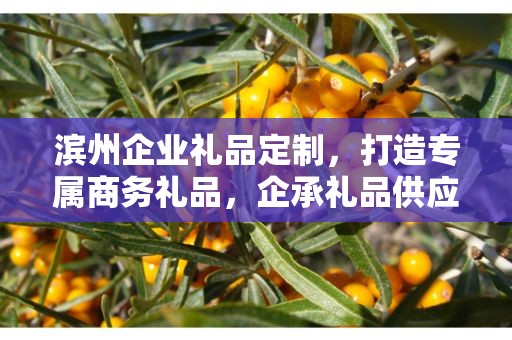 滨州企业礼品定制，打造专属商务礼品，企承礼品供应链助力企业发展