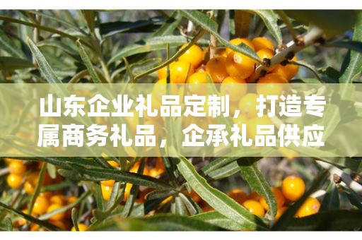 山东企业礼品定制，打造专属商务礼品，企承礼品供应链助力企业发展