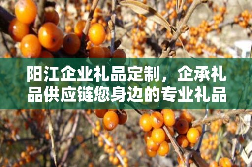 阳江企业礼品定制，企承礼品供应链您身边的专业礼品定制公司