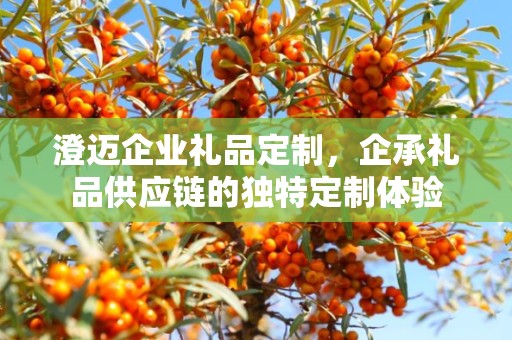 澄迈企业礼品定制，企承礼品供应链的独特定制体验