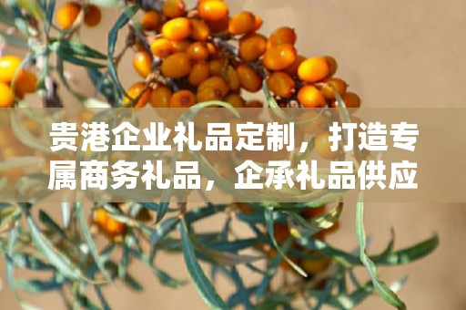 贵港企业礼品定制，打造专属商务礼品，企承礼品供应链助力企业品牌建设
