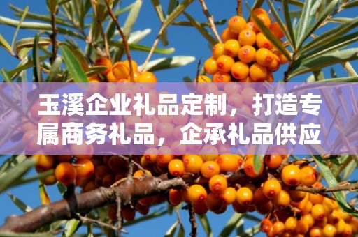玉溪企业礼品定制，打造专属商务礼品，企承礼品供应链助力企业福利升级