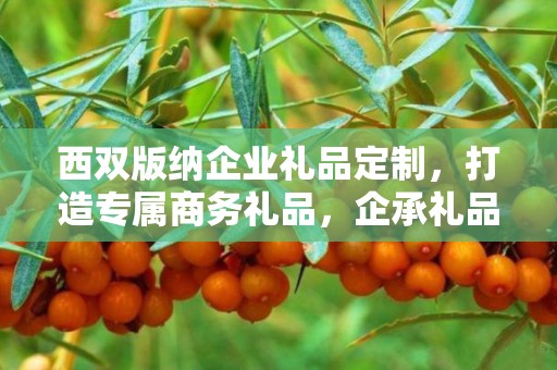 西双版纳企业礼品定制，打造专属商务礼品，企承礼品供应链助力企业需求