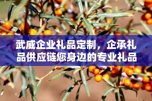 武威企业礼品定制，企承礼品供应链您身边的专业礼品定制公司