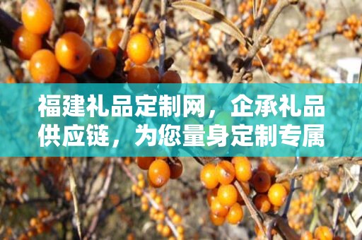 福建礼品定制网，企承礼品供应链，为您量身定制专属礼品