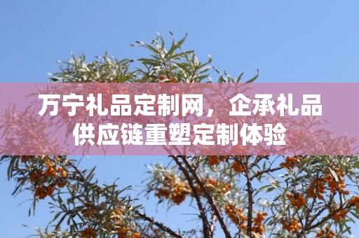 万宁礼品定制网，企承礼品供应链重塑定制体验