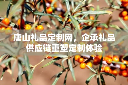 唐山礼品定制网，企承礼品供应链重塑定制体验
