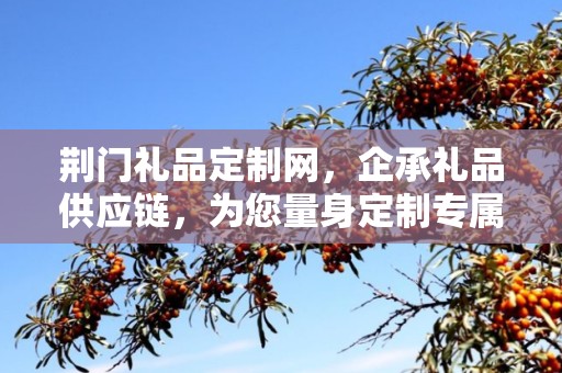 荆门礼品定制网，企承礼品供应链，为您量身定制专属礼品