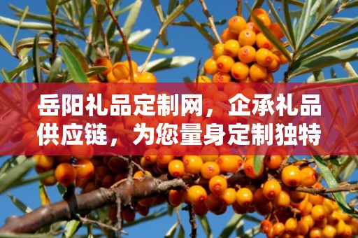 岳阳礼品定制网，企承礼品供应链，为您量身定制独特礼品