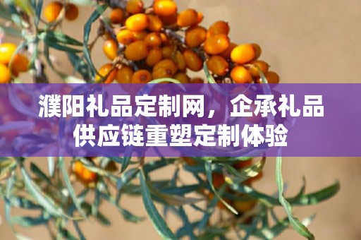 濮阳礼品定制网，企承礼品供应链重塑定制体验