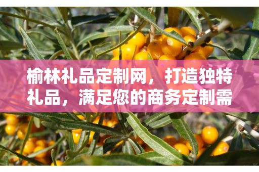 榆林礼品定制网，打造独特礼品，满足您的商务定制需求