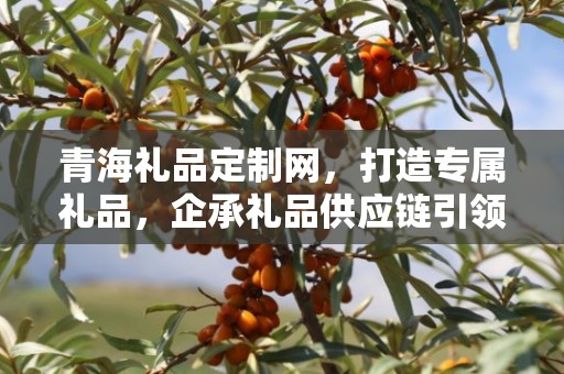 青海礼品定制网，打造专属礼品，企承礼品供应链引领定制新时代