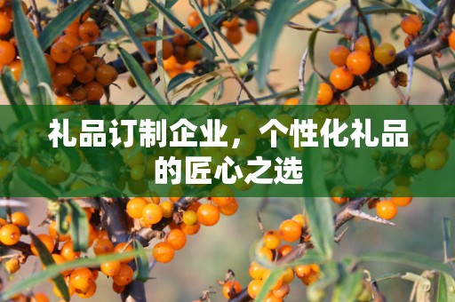 礼品订制企业，个性化礼品的匠心公司