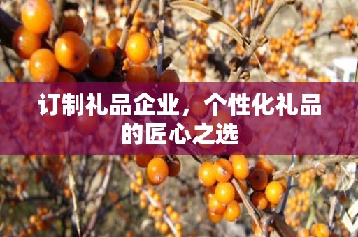 订制礼品企业，个性化礼品的匠心公司