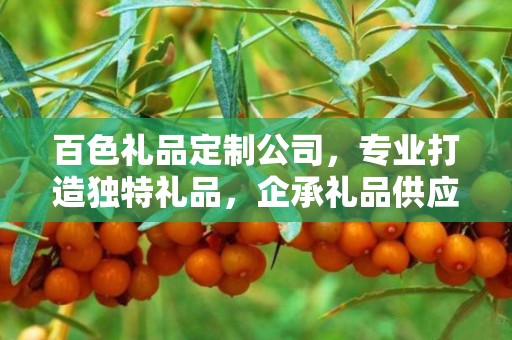 百色礼品定制公司，专业打造独特礼品，企承礼品供应链引领行业前沿