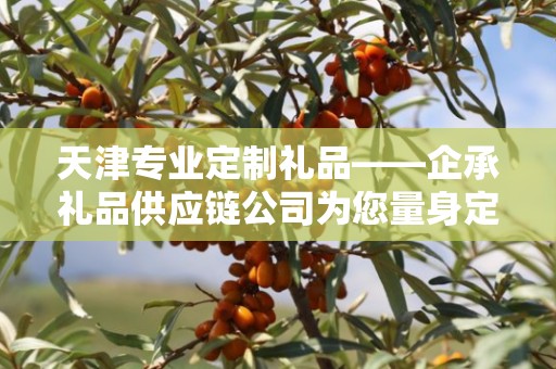 天津专业定制礼品——企承礼品供应链公司为您量身定制的独特礼品