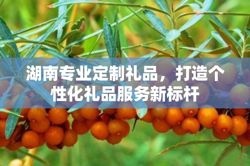 湖南专业定制礼品，打造个性化礼品服务新标杆
