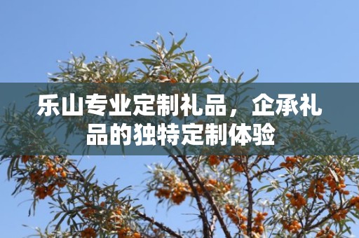 乐山专业定制礼品，企承礼品的独特定制体验