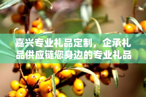 嘉兴专业礼品定制，企承礼品供应链您身边的专业礼品定制公司