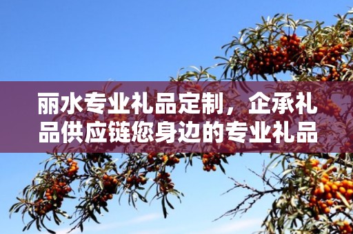 丽水专业礼品定制，企承礼品供应链您身边的专业礼品定制公司