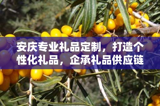 安庆专业礼品定制，打造个性化礼品，企承礼品供应链助力商务之选