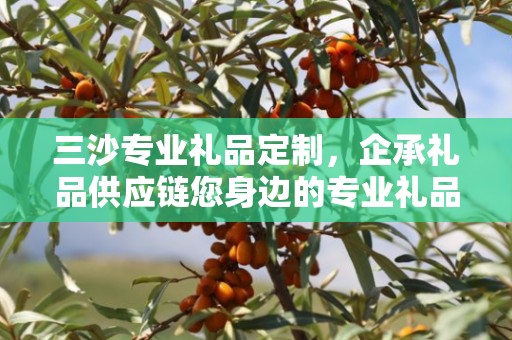 三沙专业礼品定制，企承礼品供应链您身边的专业礼品定制公司