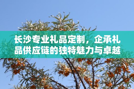 长沙专业礼品定制，企承礼品供应链的独特魅力与卓越服务