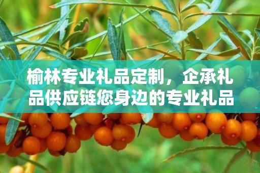 榆林专业礼品定制，企承礼品供应链您身边的专业礼品定制公司