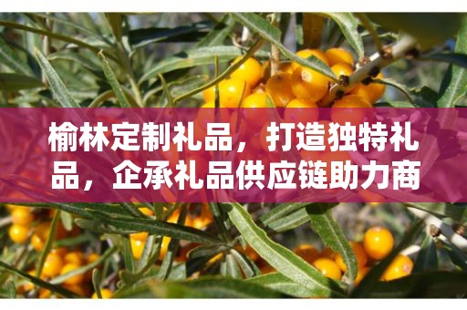 榆林定制礼品，打造独特礼品，企承礼品供应链助力商务推广