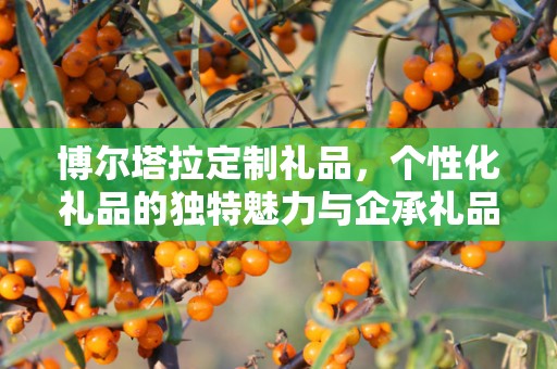 博尔塔拉定制礼品，个性化礼品的独特魅力与企承礼品供应链的专业优势