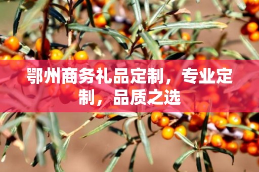 鄂州商务礼品定制，专业定制，品质之选