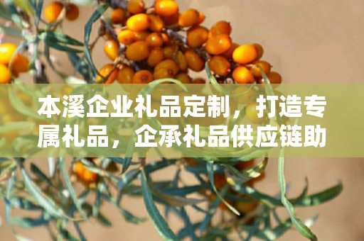 本溪企业礼品定制，打造专属礼品，企承礼品供应链助力商务往来