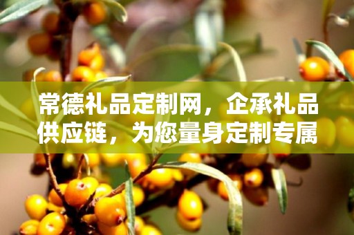 常德礼品定制网，企承礼品供应链，为您量身定制专属礼品