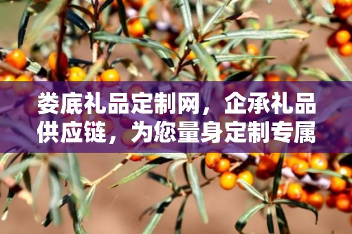娄底礼品定制网，企承礼品供应链，为您量身定制专属礼品