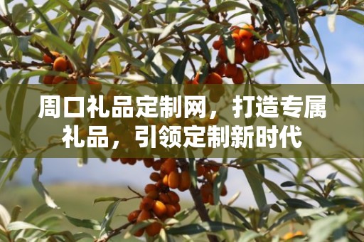周口礼品定制网，打造专属礼品，引领定制新时代