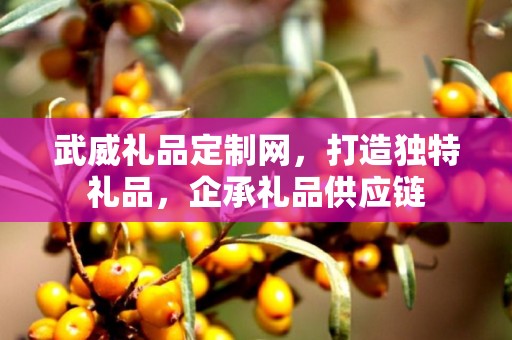 武威礼品定制网，打造独特礼品，企承礼品供应链
