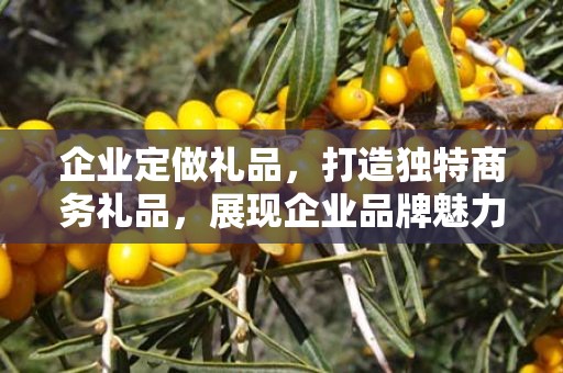 企业定做礼品，打造独特商务礼品，展现企业品牌魅力