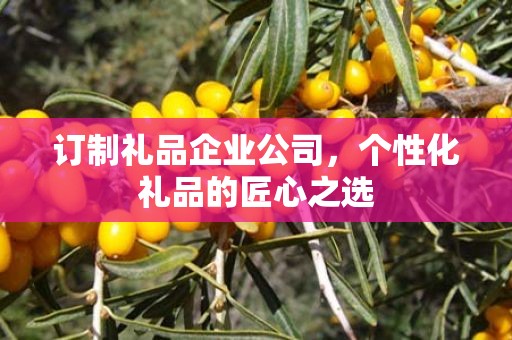订制礼品企业公司，个性化礼品的匠心公司