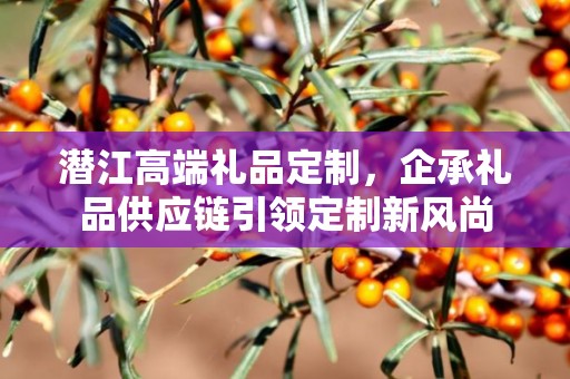 潜江高端礼品定制，企承礼品供应链引领定制新风尚