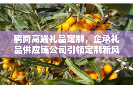 鹤岗高端礼品定制，企承礼品供应链公司引领定制新风尚