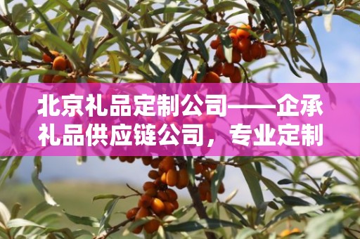 北京礼品定制公司——企承礼品供应链公司，专业定制，品质至上