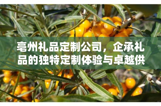 亳州礼品定制公司，企承礼品的独特定制体验与卓越供应链优势