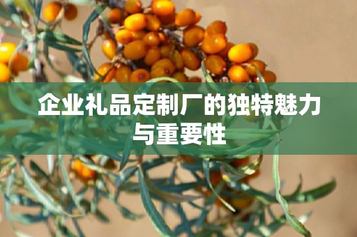 企业礼品定制厂的独特魅力与重要性