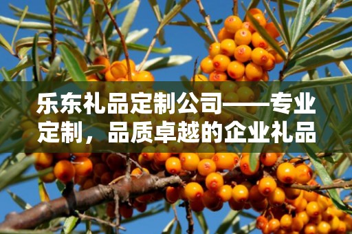 乐东礼品定制公司——专业定制，品质卓越的企业礼品之选