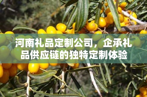 河南礼品定制公司，企承礼品供应链的独特定制体验