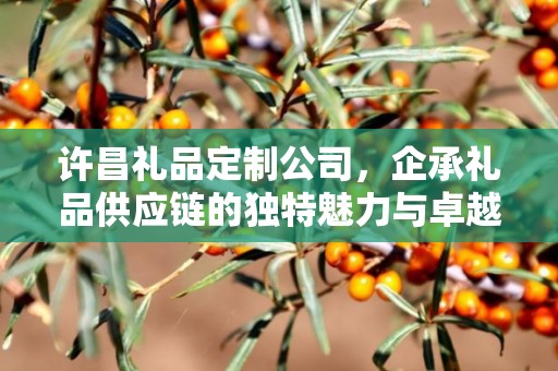 许昌礼品定制公司，企承礼品供应链的独特魅力与卓越服务